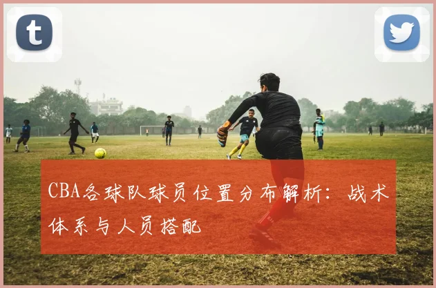CBA各球队球员位置分布解析：战术体系与人员搭配