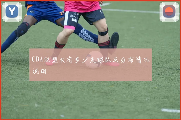CBA联盟共有多少支球队及分布情况说明