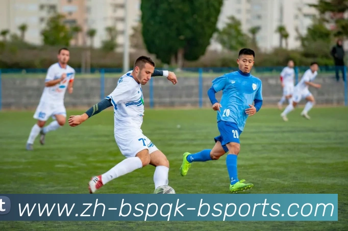 意甲足球队外援现状分析及主要国家球员分布情况